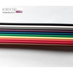 10 câbles Dupont femelle-femelle 20cm