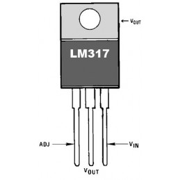 RLM317