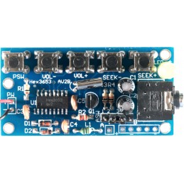 Radio FM Stereo HEX3653 - Lötkit